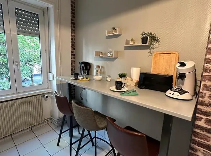 Le Cocon - 3 Pieces Gare/centre * Mulhouse